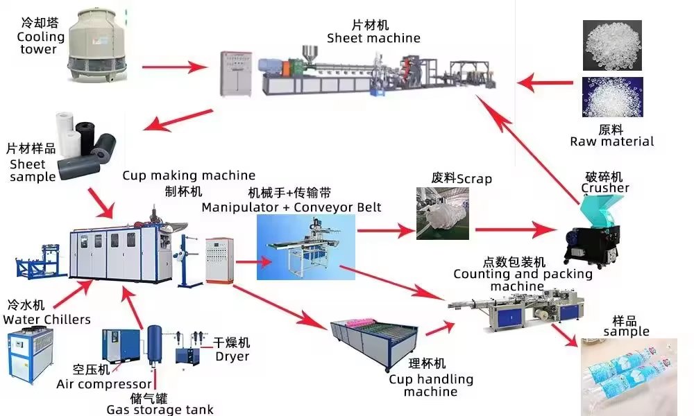 Plastic Cup Thermoforming Machine