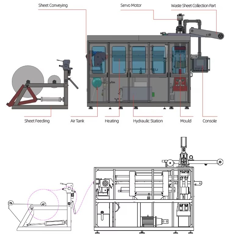 Plastic Thermoforming Machine