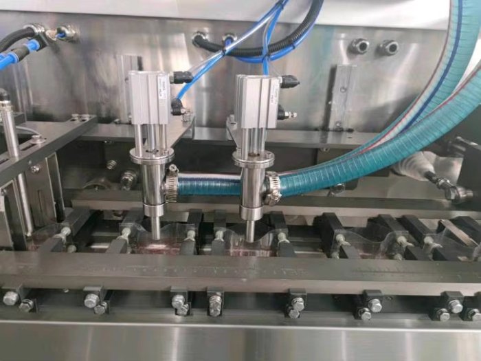 Premade Bag Packing Machine