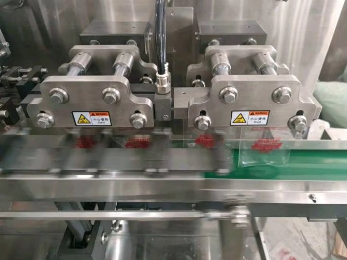 Premade Bag Packing Machine